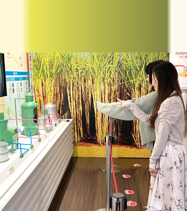 展示を見て回る様子の画像