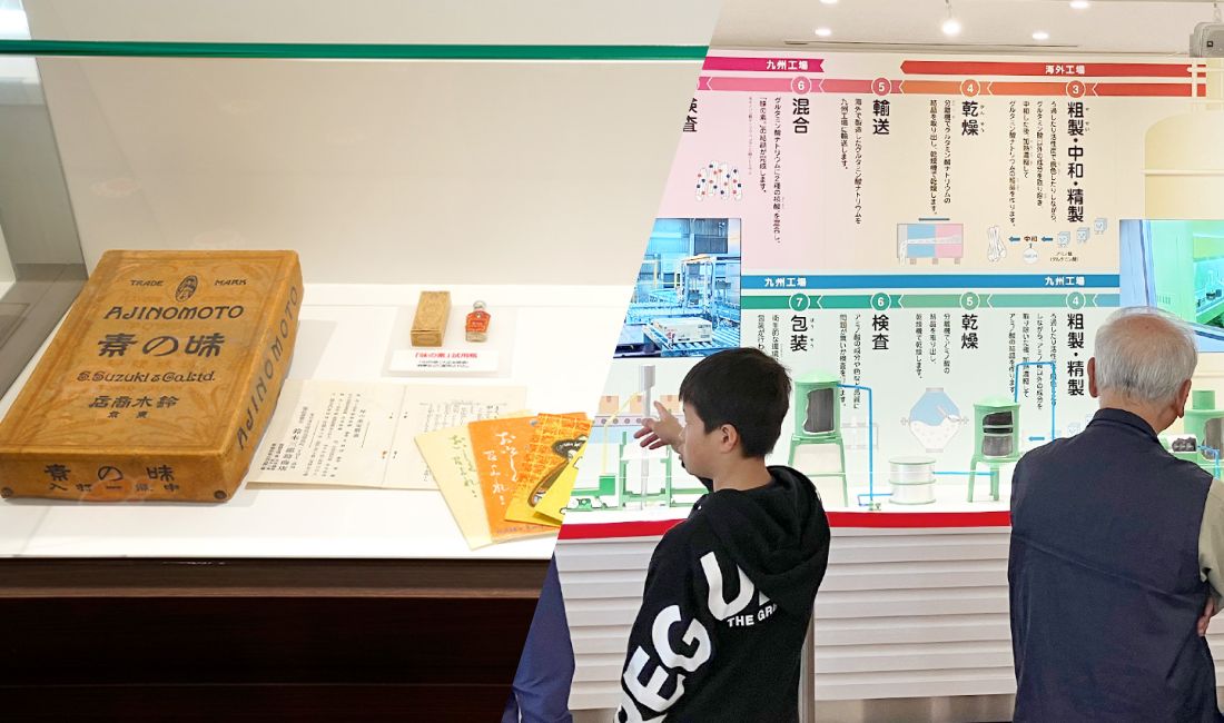 展示見学風景