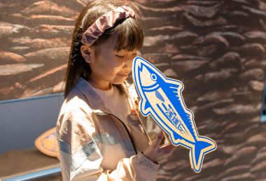 「3種のかつお節のかおり体験」の写真