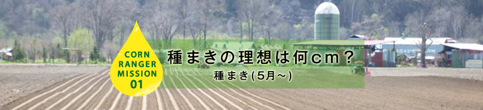 CORN RANGER MISSION01 種まきの理想は何cm? 種まき(5月〜)
