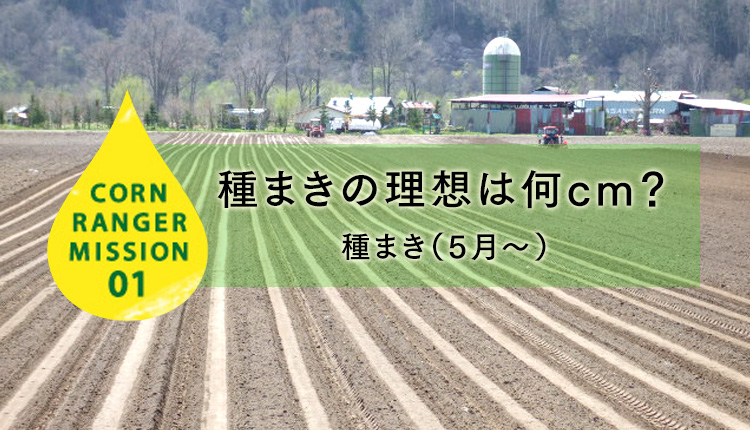 CORN RANGER MISSION01 種まきの理想は何cm? 種まき(5月〜)