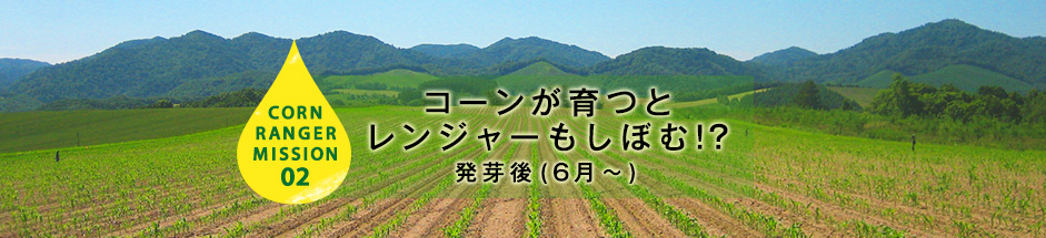 CORN RANGER MISSION02 コーンが育つとレンジャーもしぼむ!? 発芽後(6月頃)