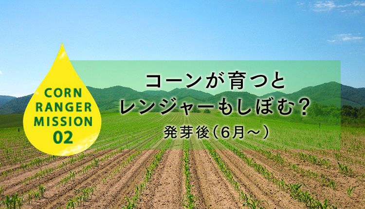 CORN RANGER MISSION02 コーンが育つとレンジャーもしぼむ!? 発芽後（6月頃）