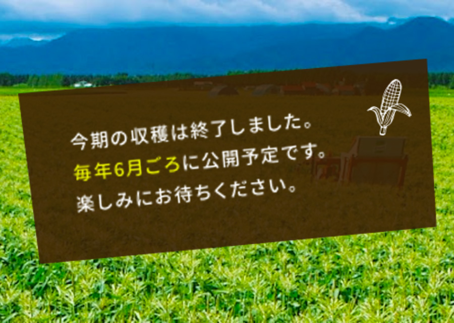 今期の収穫は終了しました。毎年6月ごろに公開予定です。楽しみにお待ちください。