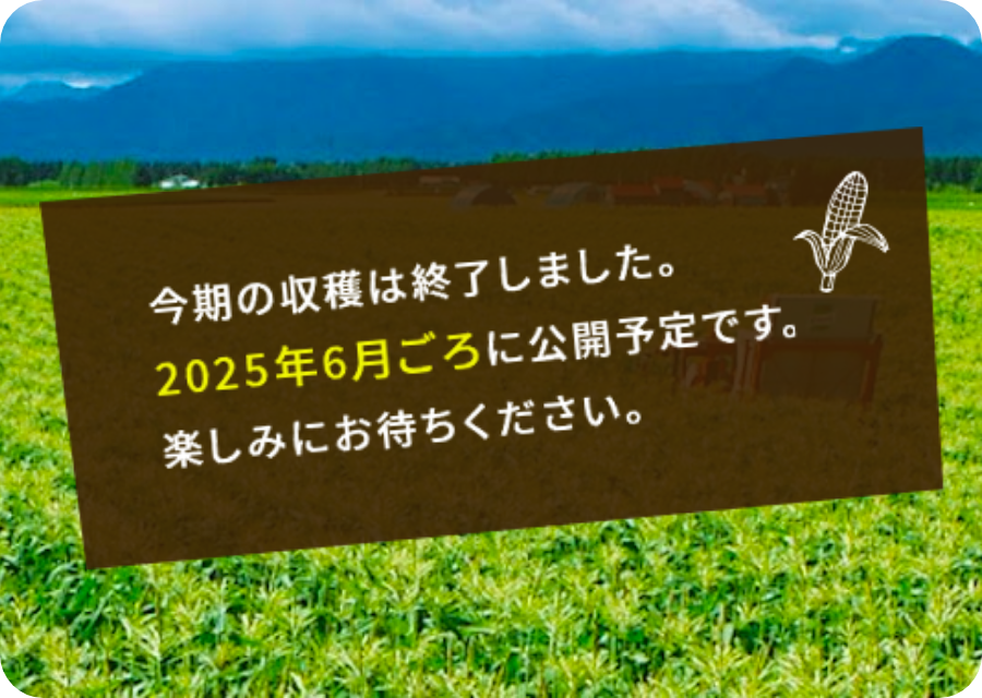 ライブカメラin北海道