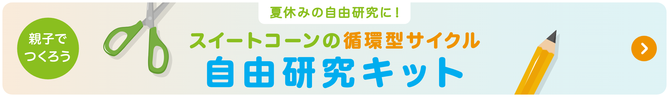 親子で作ろうスイートコーンの循環型サイクル自由研究キット
