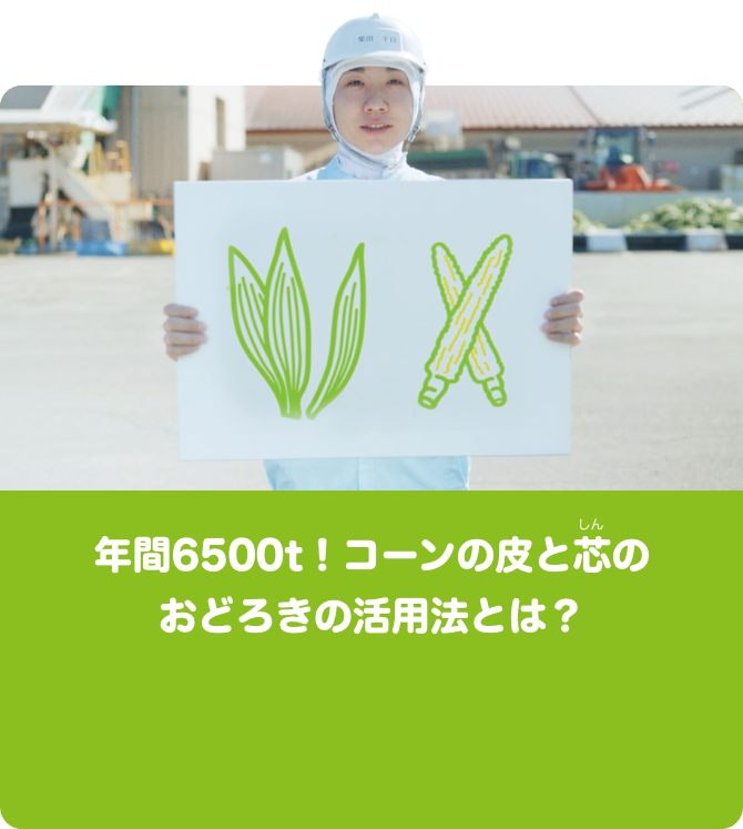 年間6500t！コーンの皮と芯のおどろきの活用法とは？