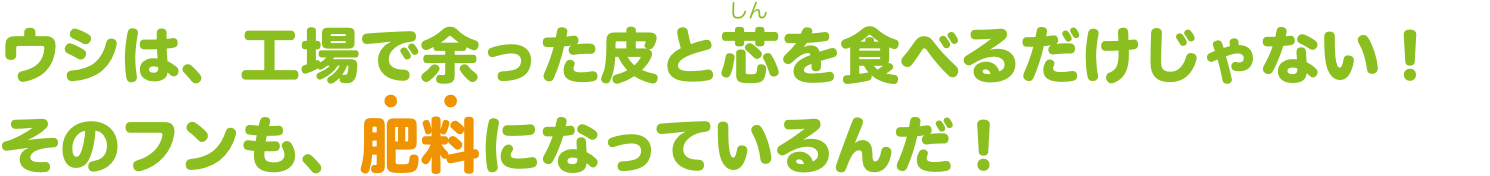 ウシは、工場で余った皮と芯を食べるだけじゃない！そのフンも、肥料になっているんだ！
