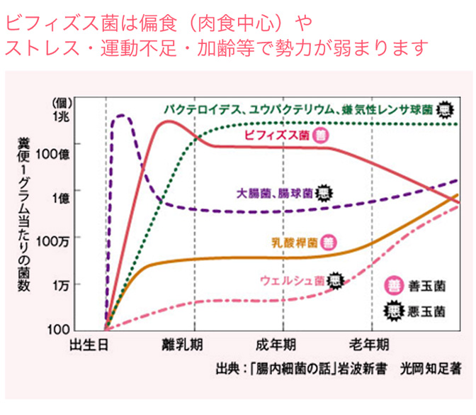ビフィズス菌は偏食(肉食中心)やストレス・運動不足・加齢等で勢力が弱まります。
