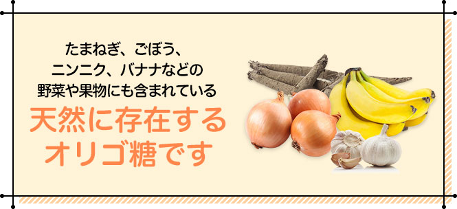 フラクトオリゴ糖 500g さとうきび由来 乳酸菌 ビフィズス菌 との相性 オリゴ糖 粉末 サプリメント Nichie ニチエー Nichie ニチエー Ksaragonite3 ビオネ フラクトオリゴ糖 小 700g 5本セット Zahnarzt Franz De