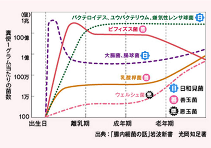 1グラム当たりの菌数