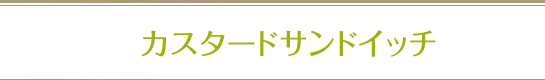 繧ｫ繧ｹ繧ｿ繝ｼ繝峨し繝ｳ繝峨う繝�メ