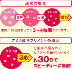 通常の場合 体内へ吸収されるまで３～４時間かかります。
アミノ酸サプリメントの場合 分解が不要なのでカラダへの負担も少なく約30分でスピーディーに吸収！