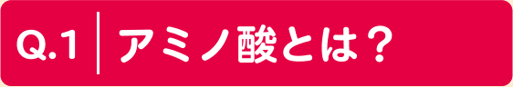 Q.1 アミノ酸とは？