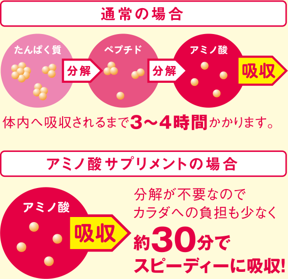 通常の場合：体内へ吸収されるまで３～４時間かかります。 アミノ酸サプリメントの場合：分解が不要なのでカラダへの負担も少なく約30分でスピーディーに吸収！