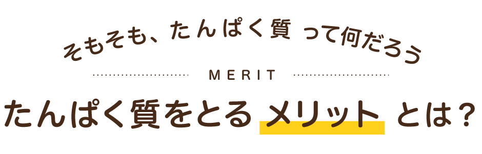 そもそも、たんぱく質って何だろう たんぱく質をとるメリットとは？