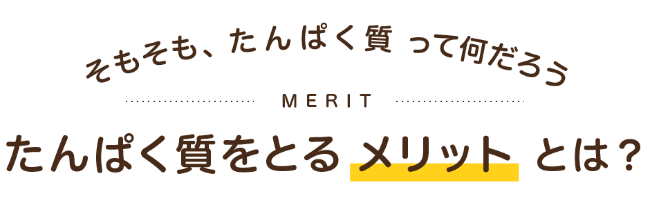 そもそも、たんぱく質って何だろう たんぱく質をとるメリットとは？