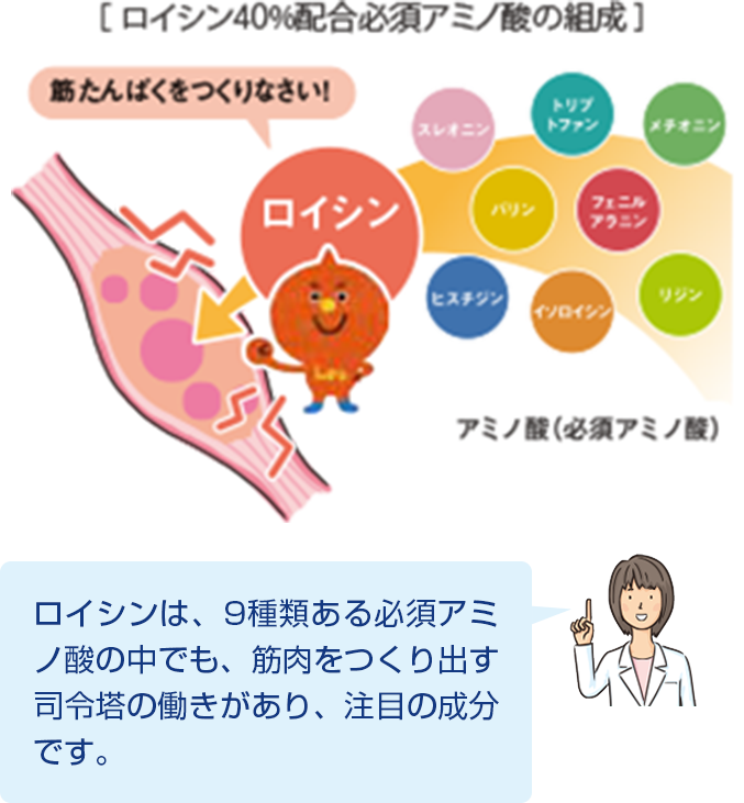 アミノ酸をバランスよく配合した、ロイシン40%配合必須アミノ酸が主成分。
