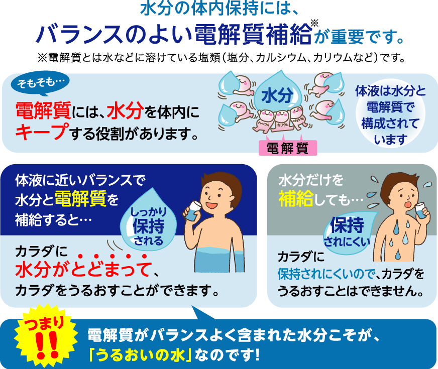 水分の体内保持にはバランスよい電解質*補給が重要です。 *電解質とは水などに溶けている塩類(塩分、カルシウム、カリウムなど)です