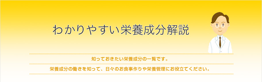 わかりやすい栄養成分解説