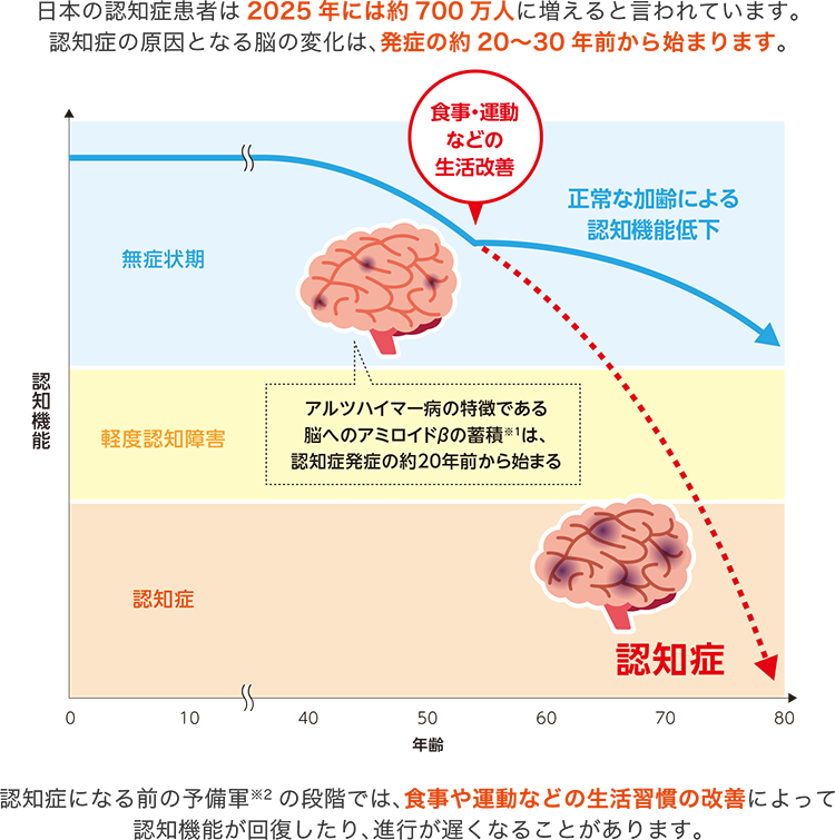 日本の認知症患者は2025年には約700万人に増えると言われています。認知症の原因となる脳の変化は、発症の約20〜30年前から始まります。認知症になる前の予備軍の段階では、食事や運動などの生活習慣の改善によって認知機能が回復したり、進行が遅くなることがあります。