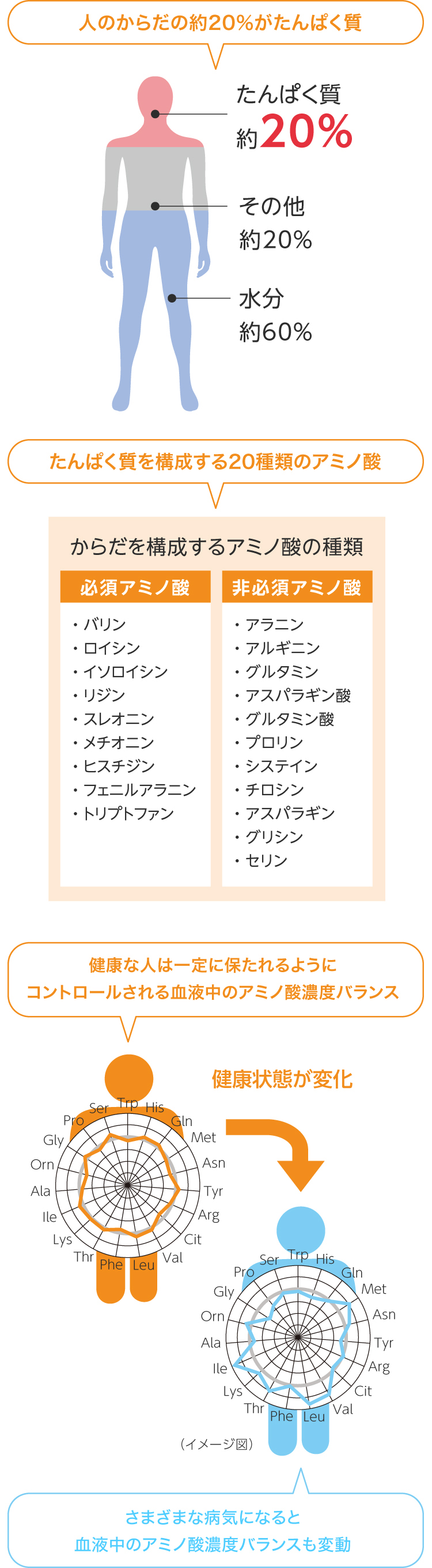 人のからだの約20％がたんぱく質 たんぱく質を構成する20種類のアミノ酸 さまざまな病気になると血液中のアミノ酸濃度バランスも変動