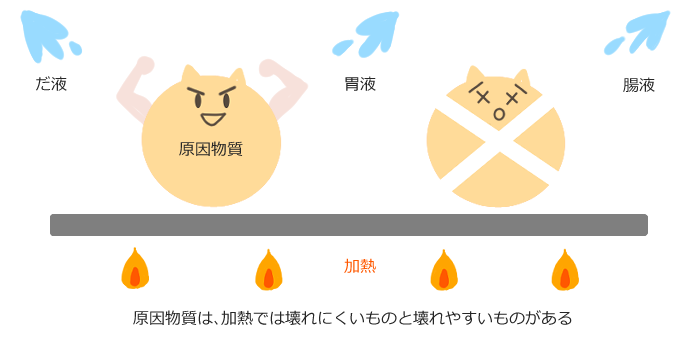 アレルギーの原因物質は、加熱やだ液・胃液・腸液などの影響で壊れやすいものと、そうしたものに強く、壊れにくいものがあります。