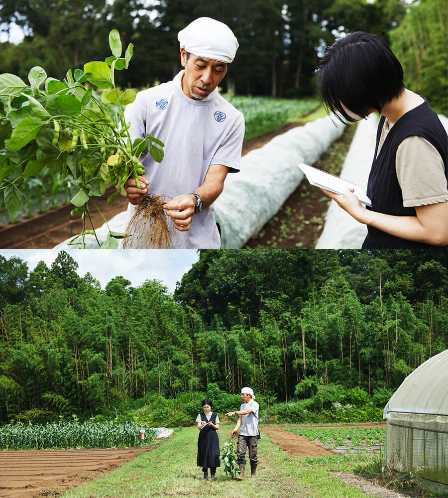 野菜はちゃんと種を蒔いて、ちゃんと管理してあげれば大体育つんです。