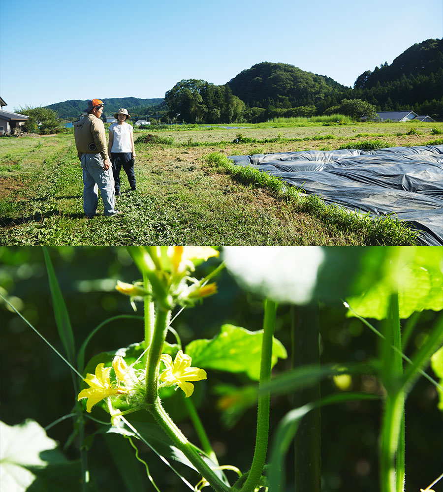 自分が農家をやるならば、いろんな野菜を作ってお客さんに直接売りたい気持ちが強くありました。