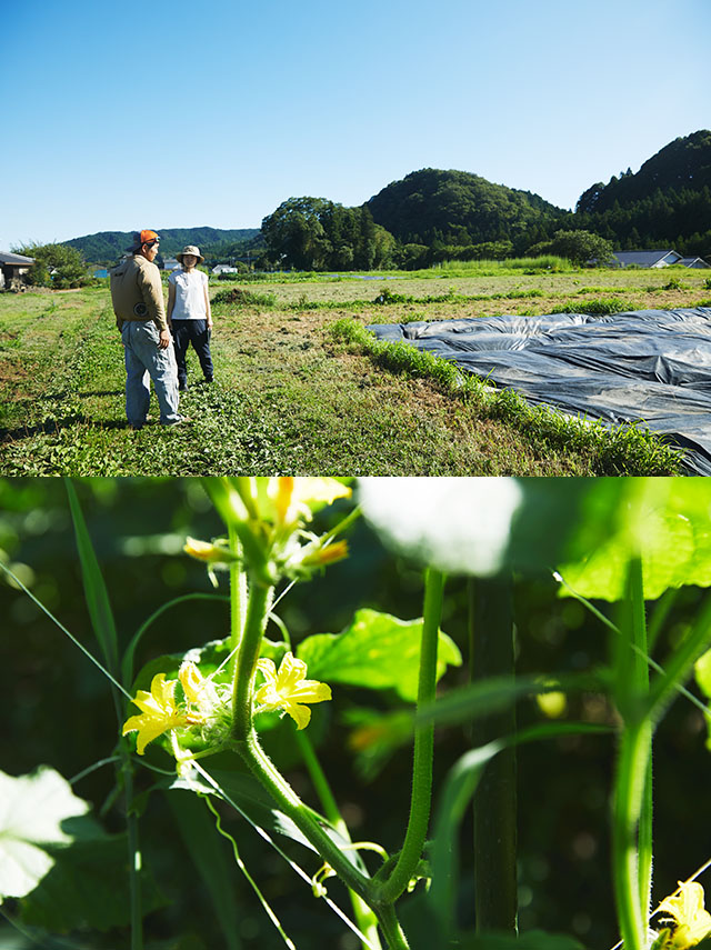 自分が農家をやるならば、いろんな野菜を作ってお客さんに直接売りたい気持ちが強くありました。