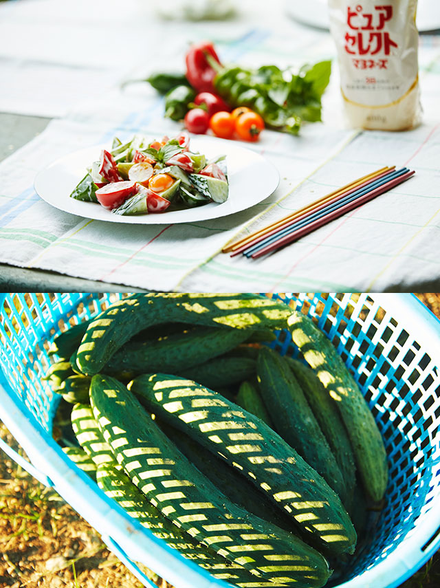 野菜はちゃんと種を蒔いて、ちゃんと管理してあげれば大体育つんです。