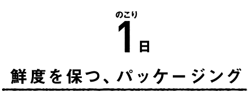 鮮度を保つ、パッケージング