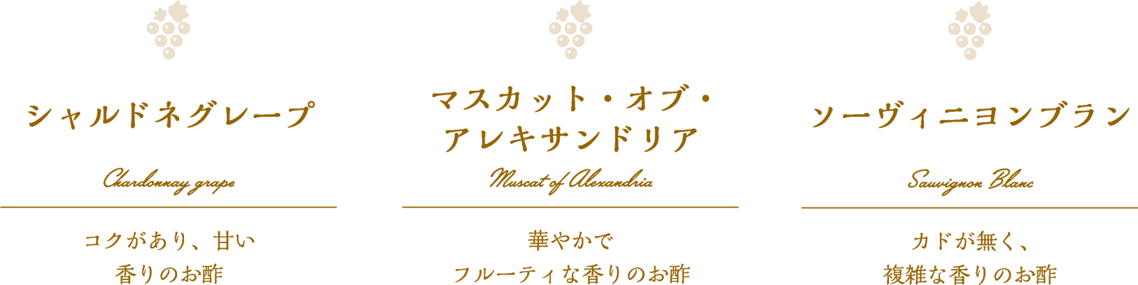 シャルドネグレープ:コクがあり、甘い香りのお酢/マスカット・オブ・アレキサンドリア:華やかでフルーティな香りのお酢/ソーヴィニヨンブラン:カドが無く、複雑な香りのお酢