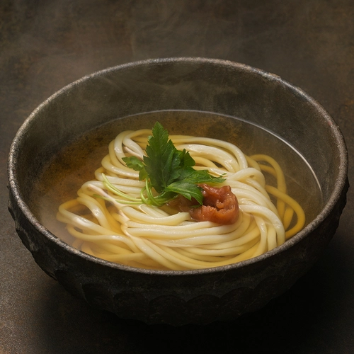 だしうどん