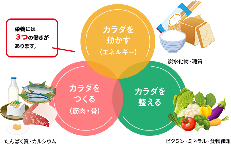栄養には3つの働きがあります。