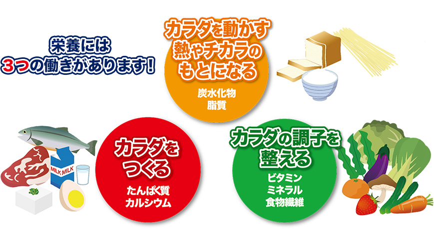 栄養には3つの働きがあります。カラダを動かす熱やチカラのもとになる 炭水化物 脂質 カラダをつくる たんぱく質 カルシウム カラダの調子を整える ビタミン ミネラル 食物繊維