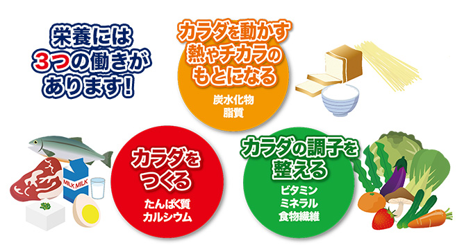 栄養には3つの働きがあります。カラダを動かす熱やチカラのもとになる 炭水化物 脂質 カラダをつくる たんぱく質 カルシウム カラダの調子を整える ビタミン ミネラル 食物繊維