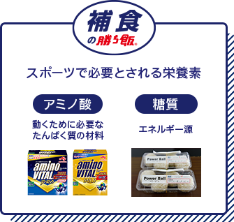 捕食の勝ち飯　［アミノ酸］動くために必要な たんぱく質の材料　［糖質］エネルギー源