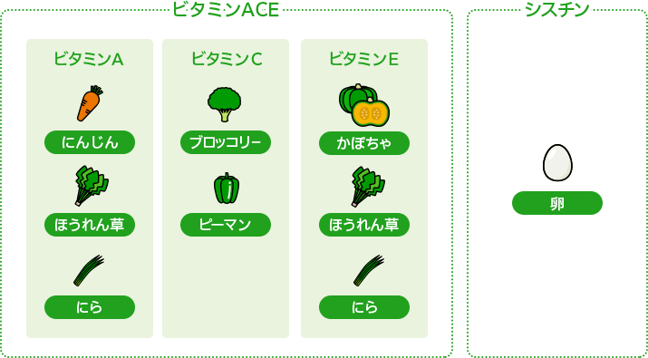 【ビタミンACE】［ビタミンA］にんじん、ほうれん草、にら　［ビタミンC］ブロッコリー、ピーマン　［ビタミンE］かぼちゃ、ほうれん草、にら　【シスチン】卵