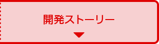 開発ストーリー
