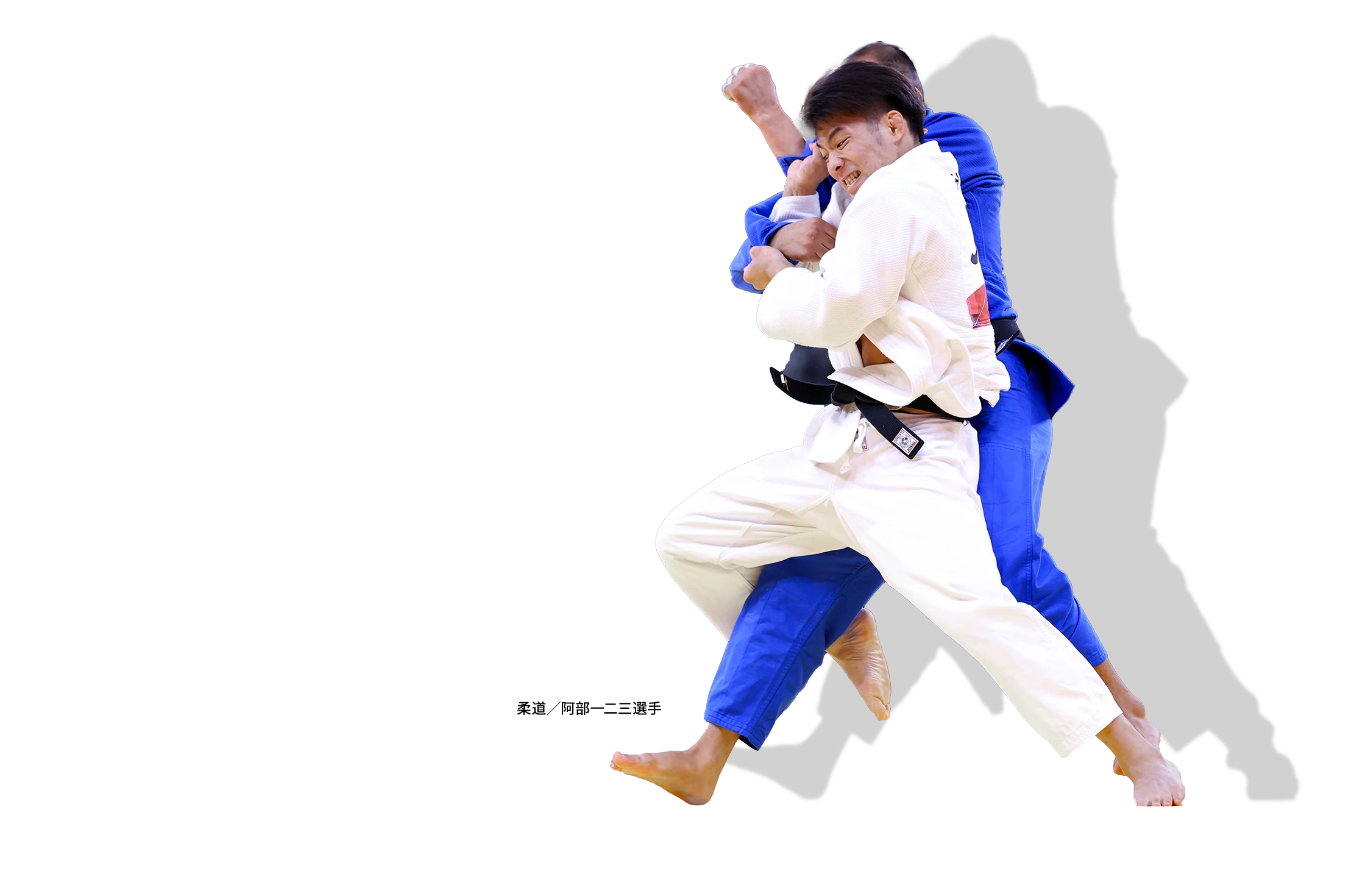 柔道／阿部 一二三 選手