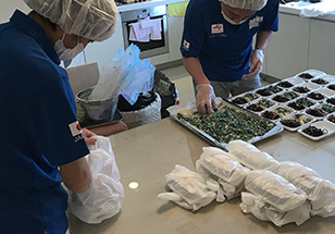 大会期間中：食事の提供