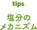 塩分のメカニズム