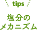 塩分のメカニズム